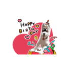 ハスキーのくーがスタンプになっちゃった！（個別スタンプ：24）
