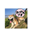 めんまシリーズ1（個別スタンプ：9）