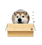 めんまシリーズ1（個別スタンプ：10）