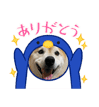 めんまシリーズ1（個別スタンプ：15）