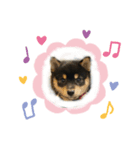 muuuuuugi（個別スタンプ：1）