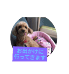 かわいい愛犬のスタンプです。（個別スタンプ：2）