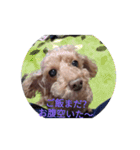 かわいい愛犬のスタンプです。（個別スタンプ：7）