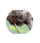 かわいい愛犬のスタンプです。（個別スタンプ：10）