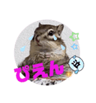 みんなと一緒14（個別スタンプ：1）