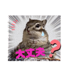 みんなと一緒14（個別スタンプ：4）