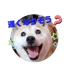 みんなと一緒14（個別スタンプ：10）