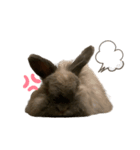 もちとむぎ vol,1（個別スタンプ：3）