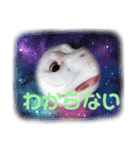 BURU-NOSTAMP（個別スタンプ：4）