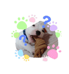 BURU-NOSTAMP（個別スタンプ：5）