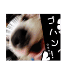 BURU-NOSTAMP（個別スタンプ：14）