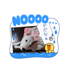 BURU-NOSTAMP（個別スタンプ：15）