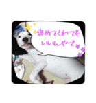 BURU-NOSTAMP（個別スタンプ：18）