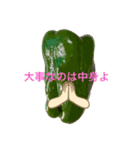 優しいお野菜さん（個別スタンプ：1）