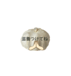 優しいお野菜さん（個別スタンプ：3）