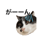 墨吹きねこのしおしお（個別スタンプ：22）