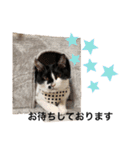 墨吹きねこのしおしお（個別スタンプ：30）
