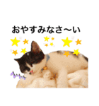 墨吹きねこのしおしお（個別スタンプ：32）