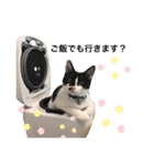 墨吹きねこのしおしお（個別スタンプ：34）