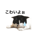 墨吹きねこのしおしお（個別スタンプ：35）