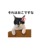 墨吹きねこのしおしお（個別スタンプ：38）