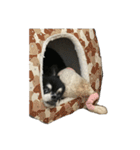 くろろとももた（個別スタンプ：11）