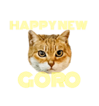 今年は猫年（個別スタンプ：1）