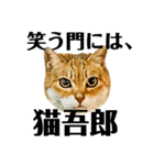 今年は猫年（個別スタンプ：3）