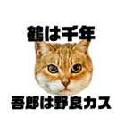 今年は猫年（個別スタンプ：4）