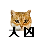 今年は猫年（個別スタンプ：5）