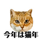 今年は猫年（個別スタンプ：7）