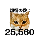 今年は猫年（個別スタンプ：11）