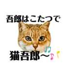 今年は猫年（個別スタンプ：12）