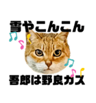 今年は猫年（個別スタンプ：13）
