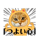 今年は猫年（個別スタンプ：18）