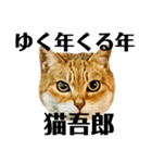 今年は猫年（個別スタンプ：20）