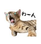 テオテスカトル②（個別スタンプ：10）