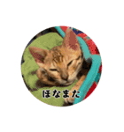 テオテスカトル②（個別スタンプ：12）