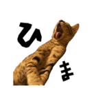 テオテスカトル②（個別スタンプ：13）