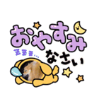 ポメラニアンのツン（個別スタンプ：2）