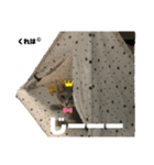 クレハ_official（個別スタンプ：1）