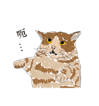 猫を無理に押し込まないでください New（個別スタンプ：7）
