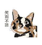 猫を無理に押し込まないでください New（個別スタンプ：14）