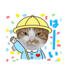 ねこまる家（個別スタンプ：15）