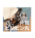 ポニョ＆めい（個別スタンプ：3）