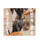 ポニョ＆めい（個別スタンプ：12）