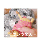 ポニョ＆めい（個別スタンプ：16）