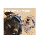 ポニョ＆めい（個別スタンプ：27）