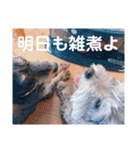 ポニョ＆めい（個別スタンプ：30）
