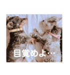 ポニョ＆めい（個別スタンプ：32）